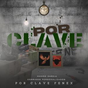 Por Clave Fenex (feat. Mando Garcia) [Explicit]