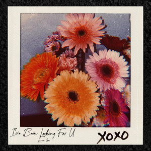 I've Been Looking For U