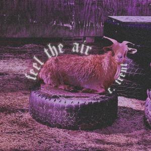 Feel The Air (Explicit)