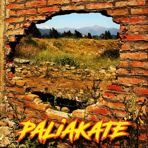 Paliakate