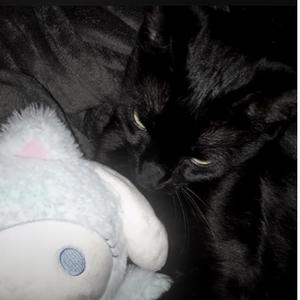 Summertime - Speed Up (Explicit)