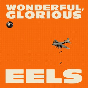 Wonderful, Glorious (Deluxe Version)