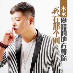 我在那个叫爱情的地方等你 (DJ版)