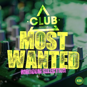 Most Wanted - Bigroom Selection, Vol. 29