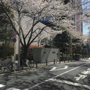 Mi Amor <33 (Explicit)