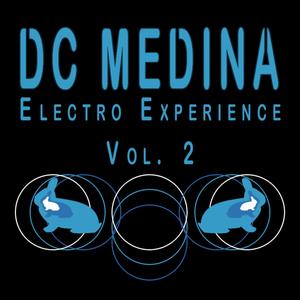 Electro Experience Vol. 2