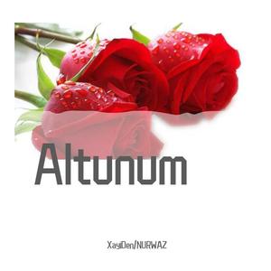 Altunum