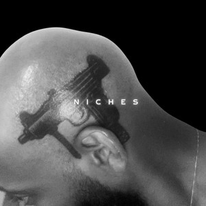 Niches (Explicit)