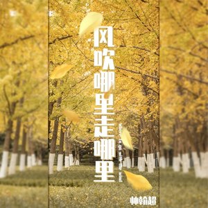 风吹哪里走哪里