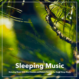 Calm Music For Sleep