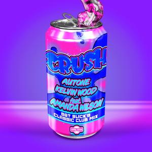 Crush (feat. Amanda Wilson) (Sgt Slick's Classic Remix)