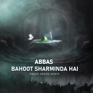 Abbas Bahoot Sharminda Hai