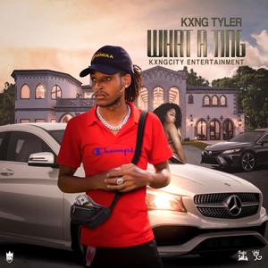 What A Ting (Explicit)