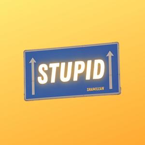 Stupid (Explicit)