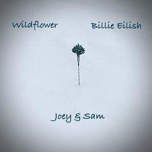 Wildflower (feat. Sam Garcia)