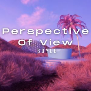 Perspective of View