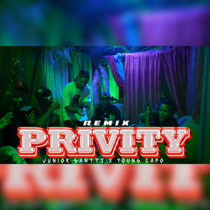 Privity