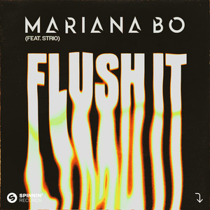 Flush It (feat. STRIO) (Extended Mix)