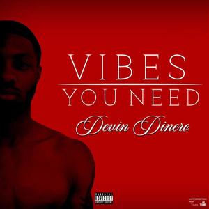 Vibes You Need (Explicit)