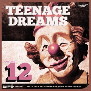 Teenage Dreams, Vol. 12