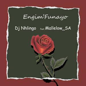 Engim'funayo (feat. Mallelow_SA)