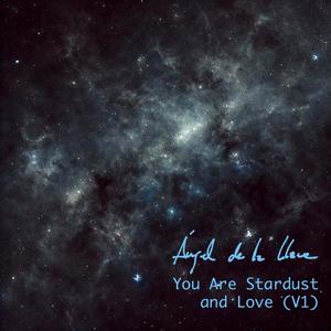 You are Stardust and Love (V1) .