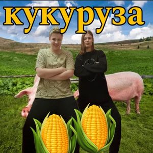 Кукуруза (Explicit)
