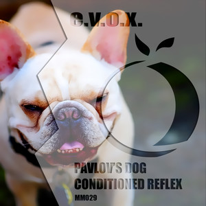 pavlovs dog/conditioned reflex