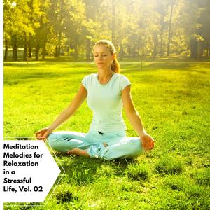 Meditation Melodies For Relaxation In A Stressful Life, Vol. 02