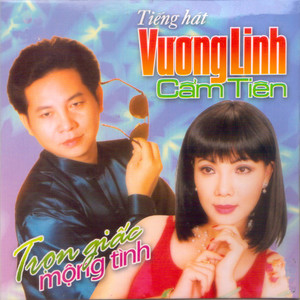Trọn Giấc Mộng Tình