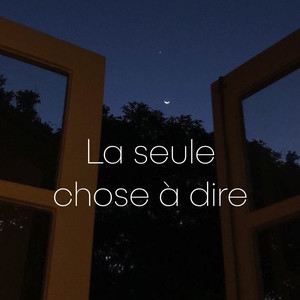 DYD - La seule chose à dire