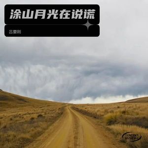 涂山月光在说谎