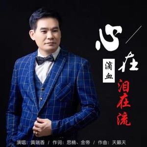 心在滴血泪在留 (DJ版)