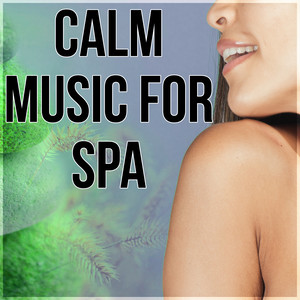 Calm Music for Spa - Pacific Ocean Waves, Well Being, Wellness Spa, Healthy Lifestyle, Luxury Spa, Natural Balance, Mind and Body Harmony, Deep Massage, Background Music for Relaxing