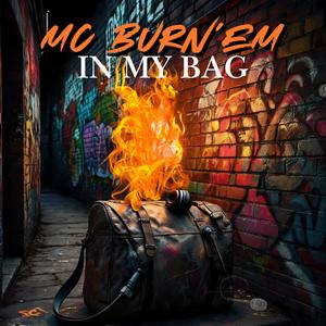 NoProblems (feat. Seviin Reasons) (Remix|Explicit)