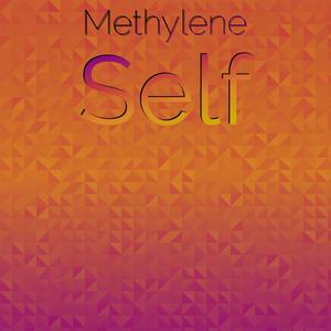 Methylene Self