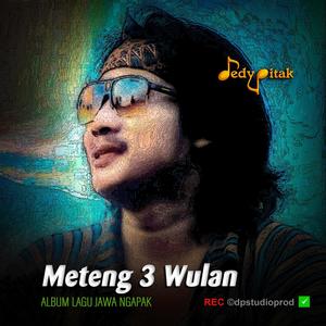 Meteng Telung Wulan (feat. @dpstudioprod, Musisi Banyumas, Jawa Ngapak, Penginyongan, Lagu Jawa, Campursari Koplo, Dangdut Ngapak, Ngapak Purwokerto, DEDY PITAK STUDIO & REC ©dpstudioprod)