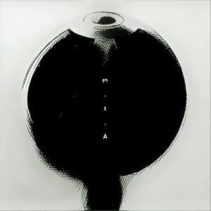 Chasing The Dragon / 追龙