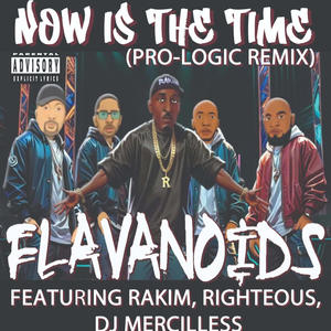 Now Is The Time (PRO-LOGIC RMX) (feat. Dj Mercilless, Righteous & Rakim) [Explicit]