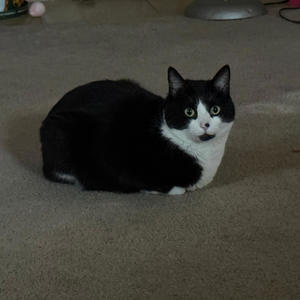 what she want (Explicit)