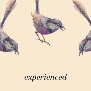 Experienced