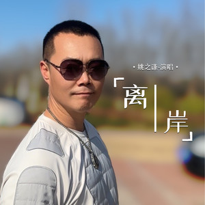 离岸 (DJ小圣版)封面