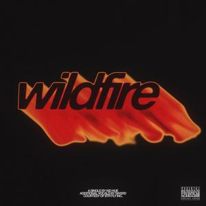 wildfire (feat. Swxrd) (Explicit)