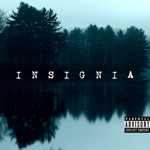 Projeto INSIGNIA (Explicit)