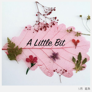 A Little Bit (一点)