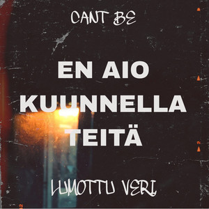 En Aio Kuunnella Teitä