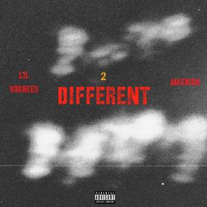 2 Different (feat. JakeRich) [Explicit]