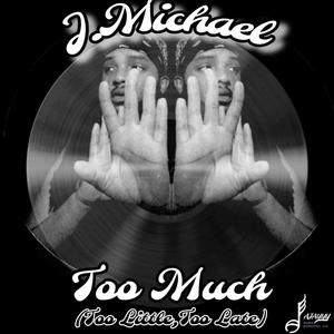 Too Much (Too Little Too Late) (Radio Edit)