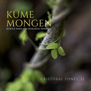 Küme Mongen