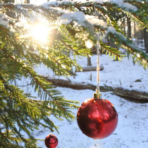 Sista julen utan dig